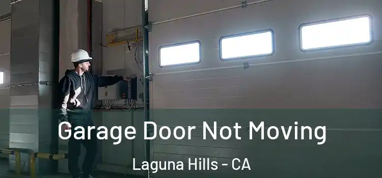  Garage Door Not Moving Laguna Hills - CA