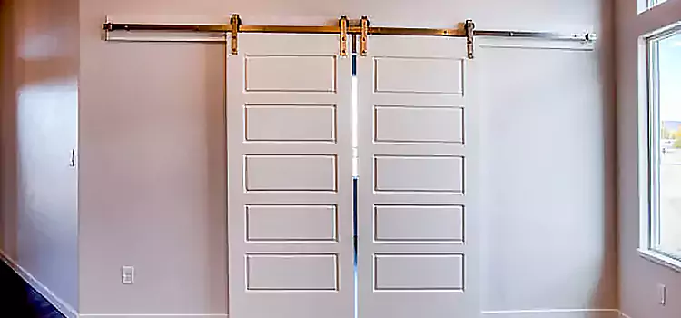 Glass Barn Door with Installation Hardware Kit Laguna Hills