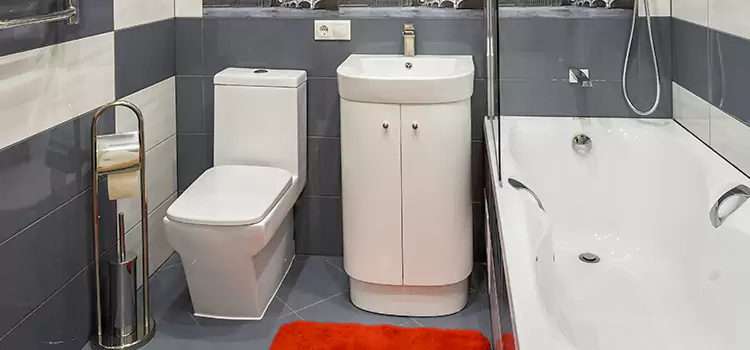 Hansgrohe Shaving Mirror Laguna Hills